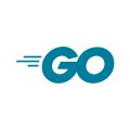 C-Go 1 1080P HD Video Camera EFLA900I